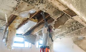 Best Water Damage & Mold Remediation  in Port Salerno, FL